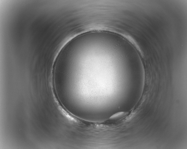 X0000066020903200603031246