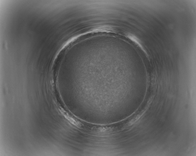 X0000066020923200603031245