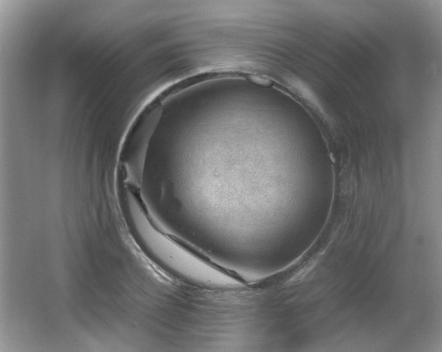 X0000066020932200603031245