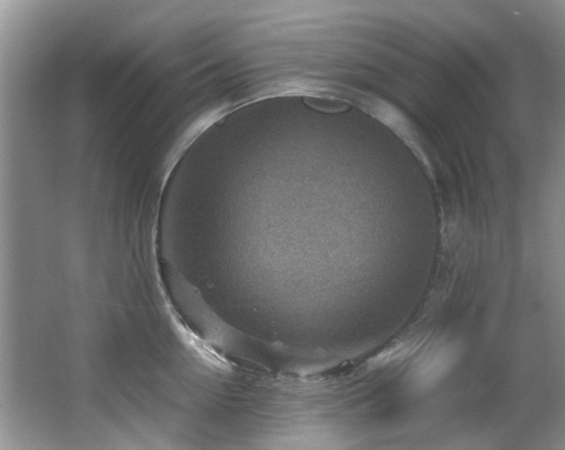 X0000066020954200603031246