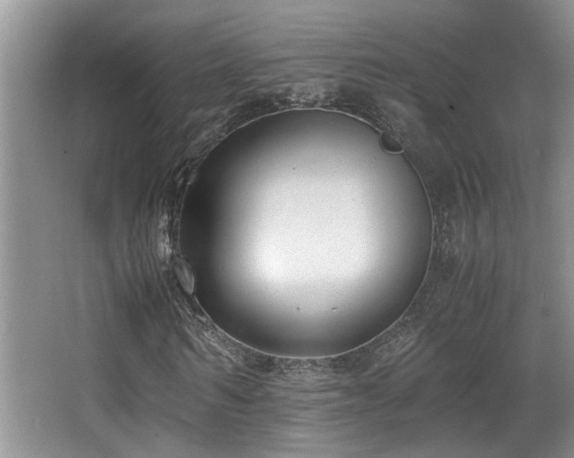 X0000066020962200603031245
