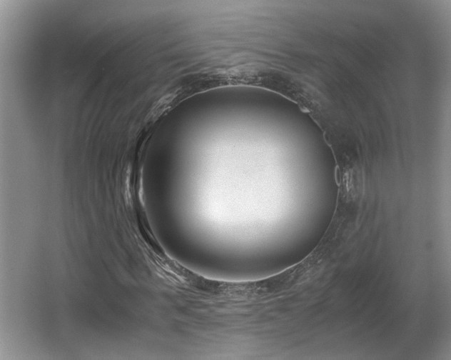 X0000066020963200603031245