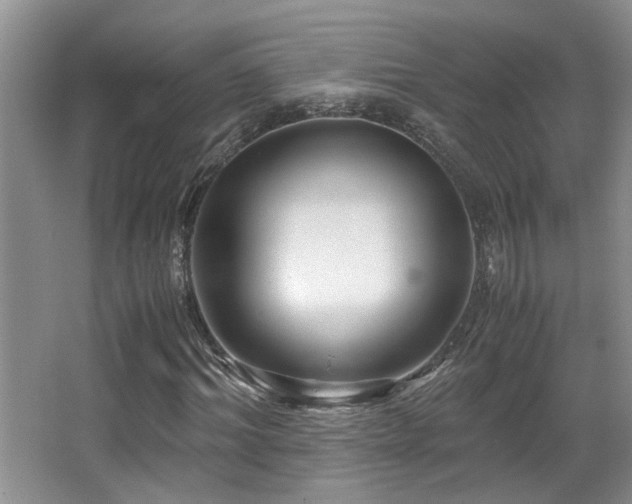 X0000066020964200603031245