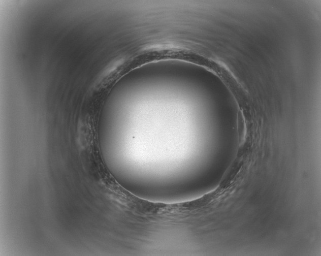 X0000066020967200603031245