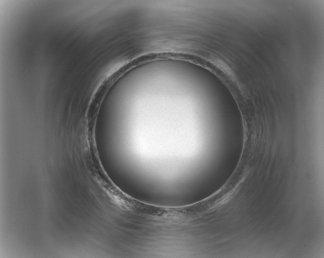 X0000066020974200603031245