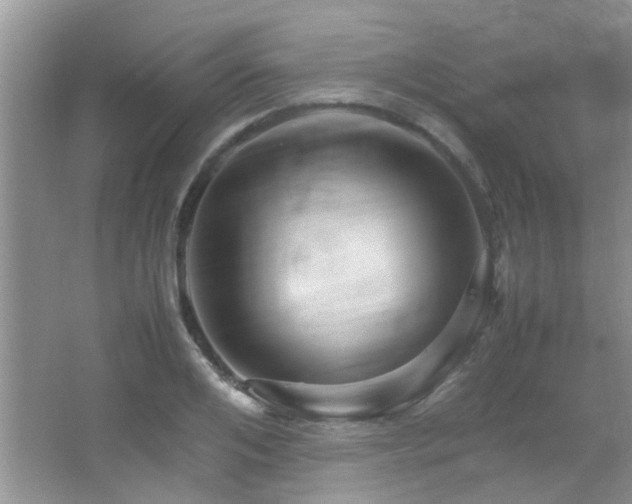 X0000066020984200603031244
