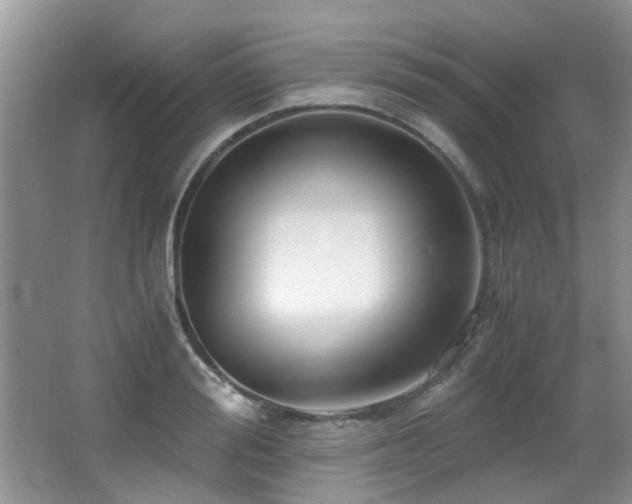 X0000066020988200603031244