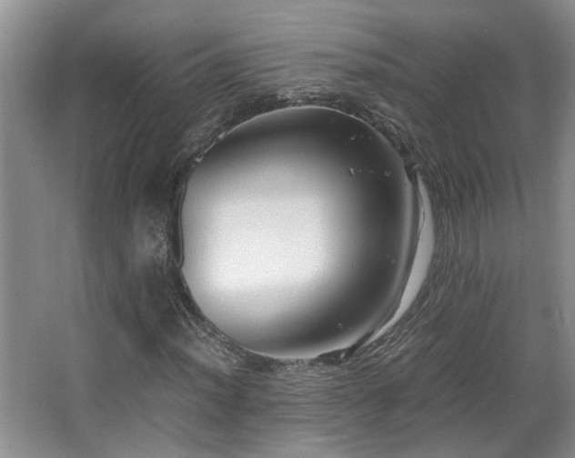X0000066021012200603031243