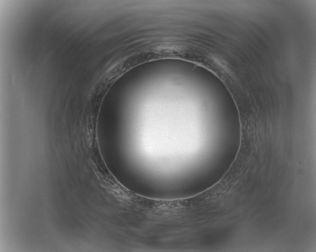 X0000066021015200603031243