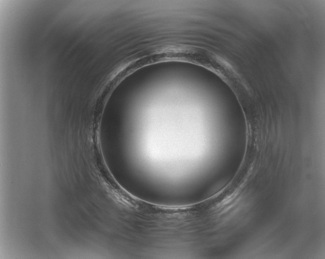 X0000066021017200603031243