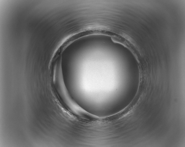 X0000066021022200603031243