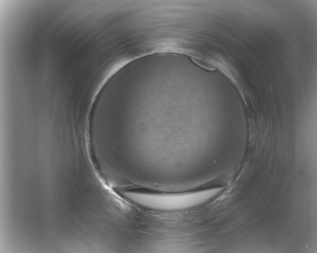 X0000066021048200603031244
