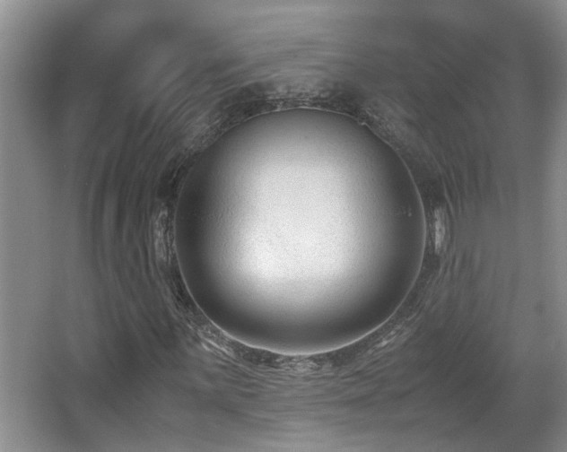 X0000066021059200603031243