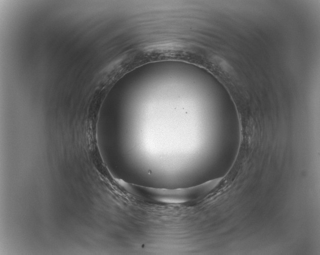 X0000066021062200603031243