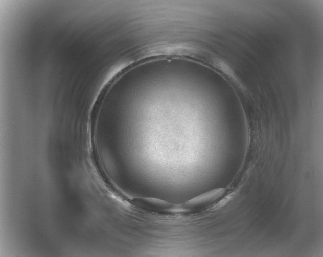 X0000066021079200603031243