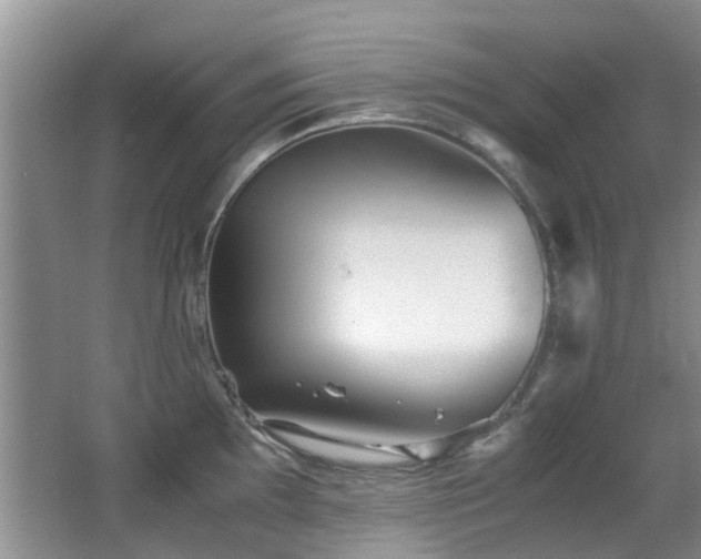 X0000066021097200603031243