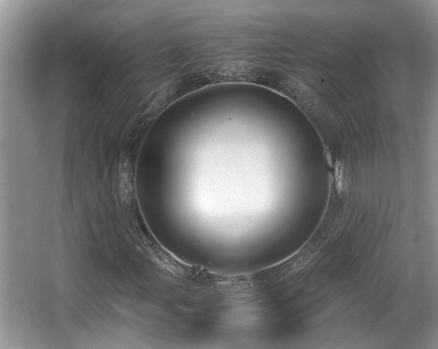 X0000066021107200603031242