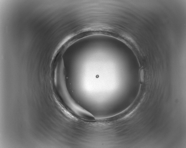 X0000066021114200603031242