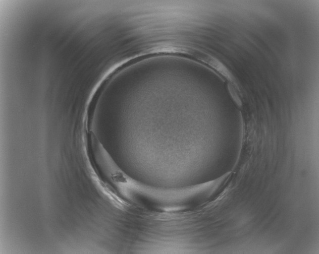 X0000066021132200603031242