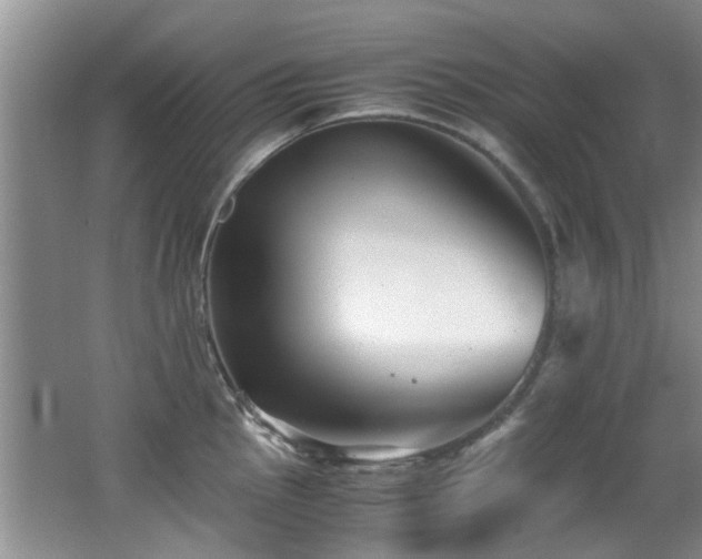 X0000066021145200603031242