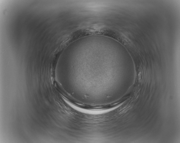 X0000066021156200603031242