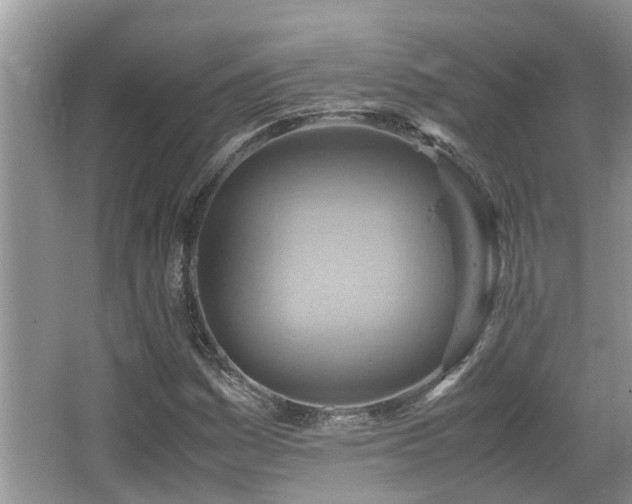 X0000066021161200603031241