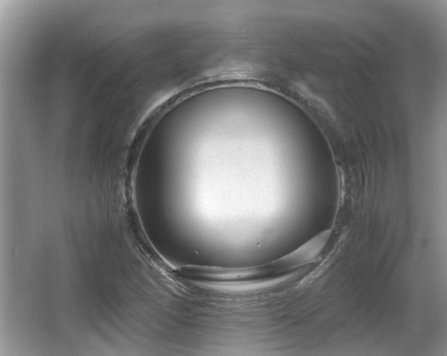 X0000066021166200603031241