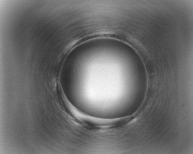 X0000066021169200603031241