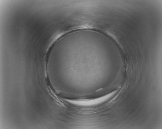 X0000066021171200603031241
