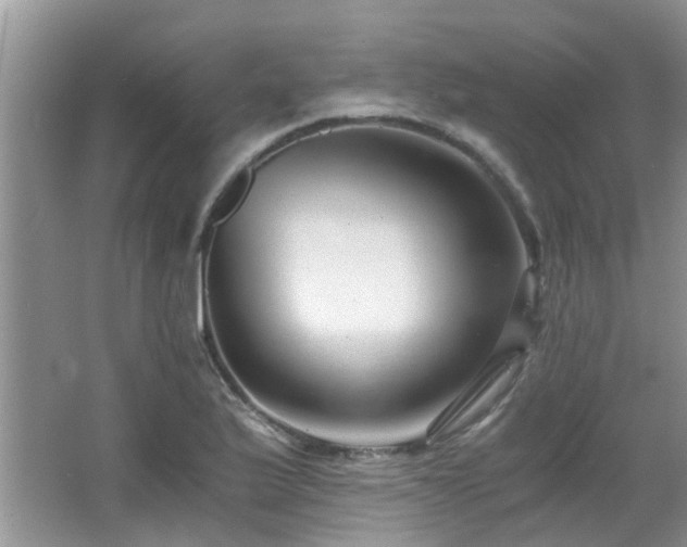 X0000066021175200603031241