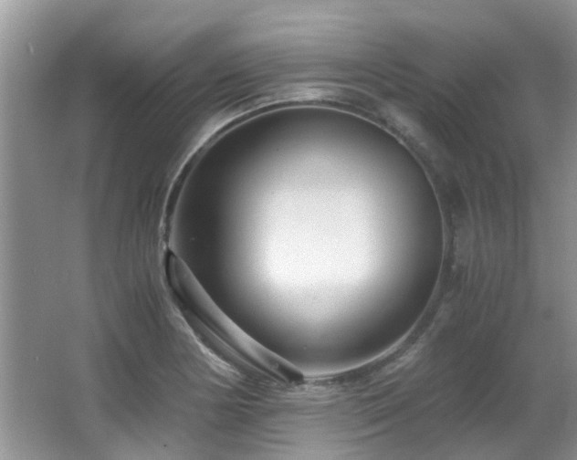 X0000066021178200603031241