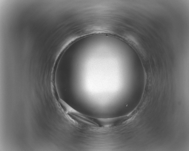 X0000066021182200603031241