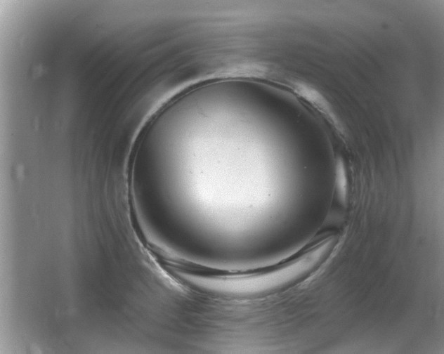 X0000066021184200603031241