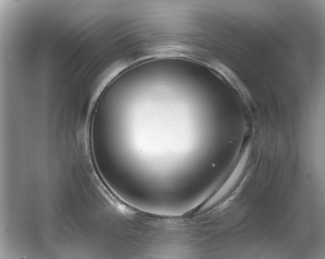 X0000066021196200603031241