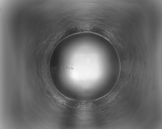 X0000066021201200603031240