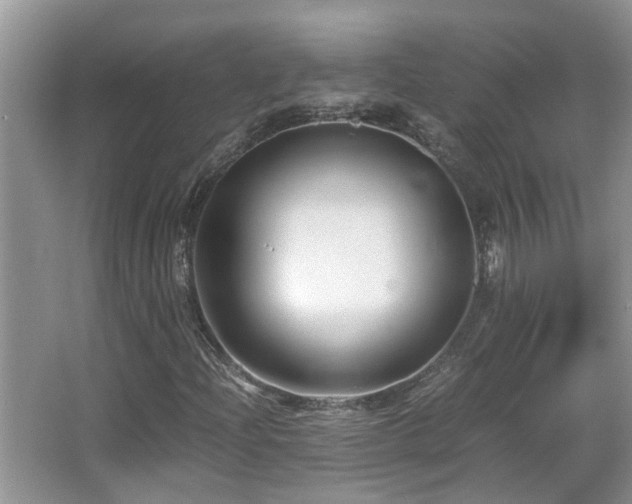 X0000066021204200603031240