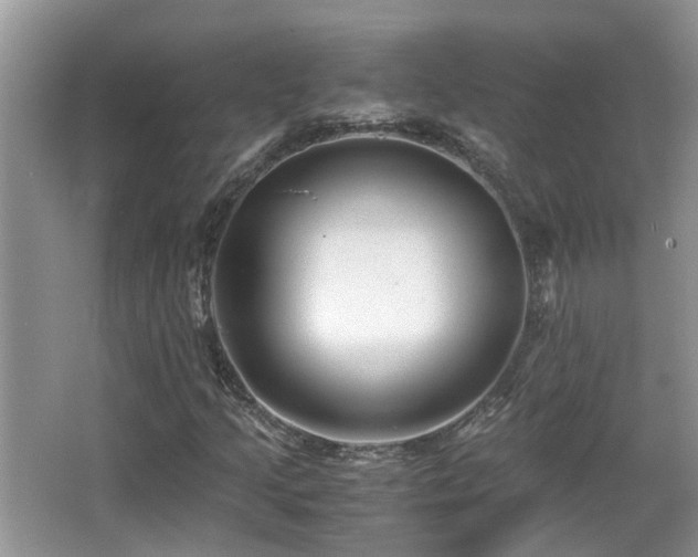 X0000066021205200603031240