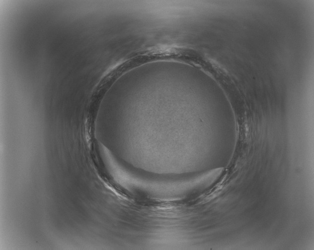 X0000066021206200603031240