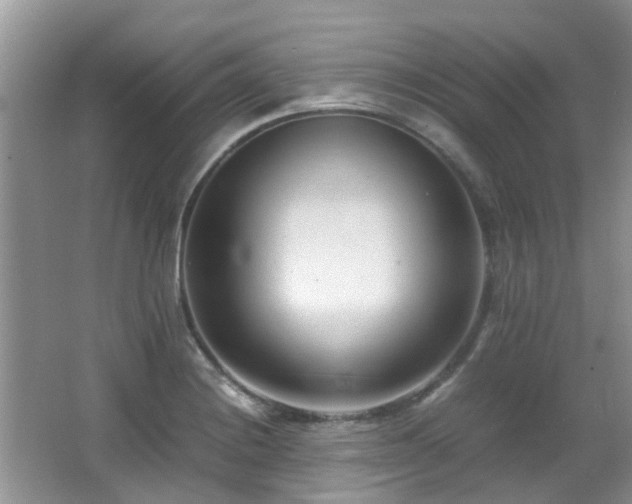 X0000066021228200603031240