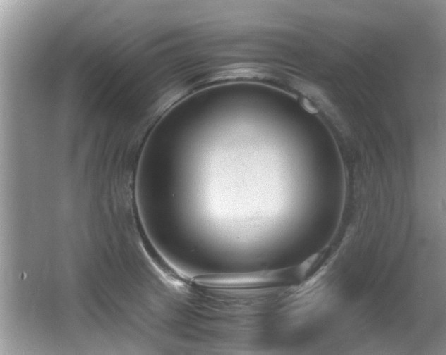 X0000066021233200603031241