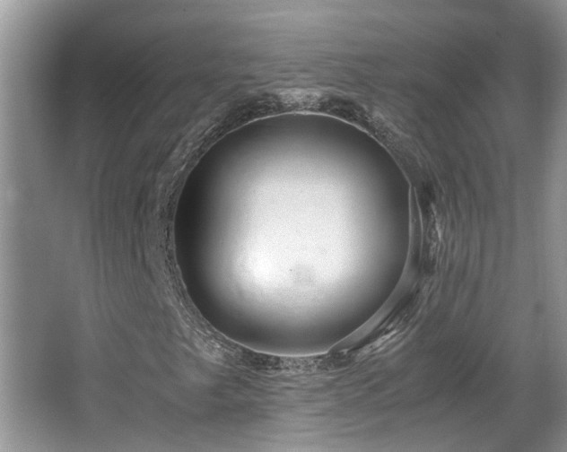 X0000066021249200603031240