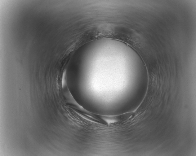 X0000066021250200603031240