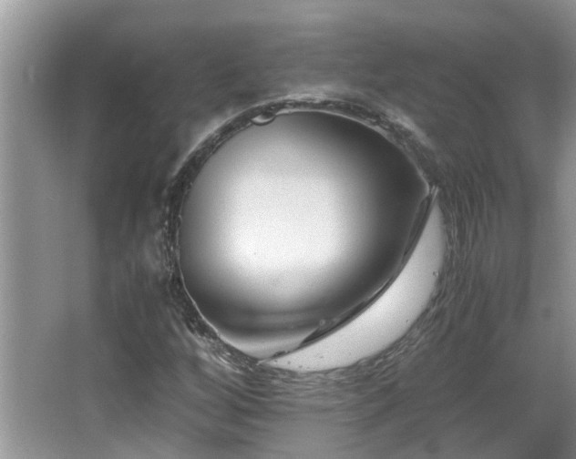 X0000066021256200603031240