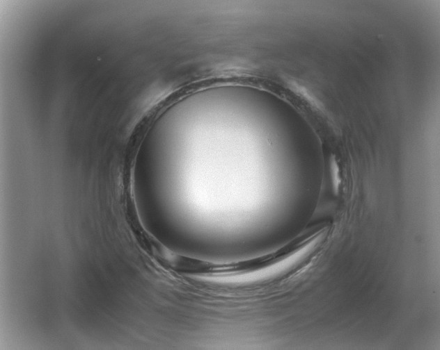 X0000066021261200603031240