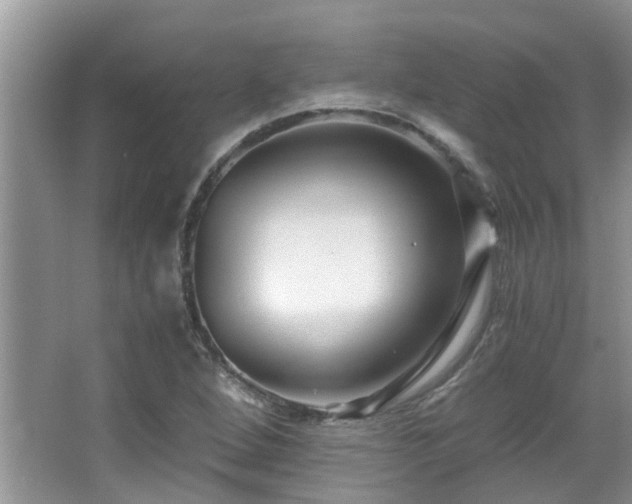 X0000066021264200603031240