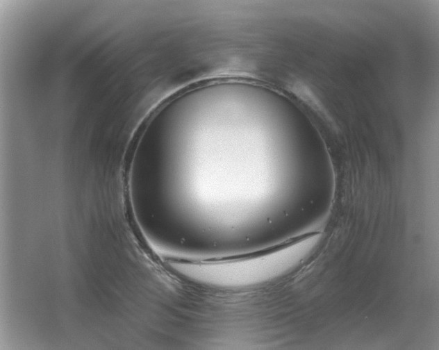 X0000066021268200603031240