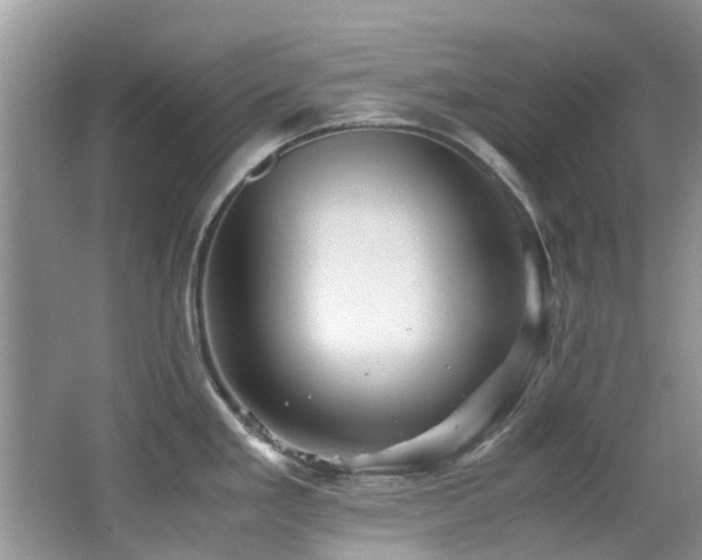 X0000066021293200603031239