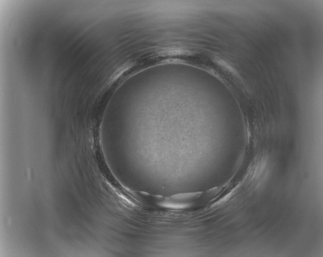 X0000066021305200603031238