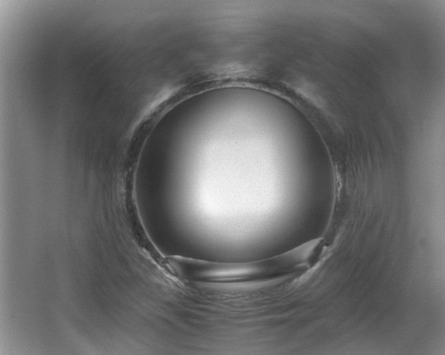 X0000066021309200603031239
