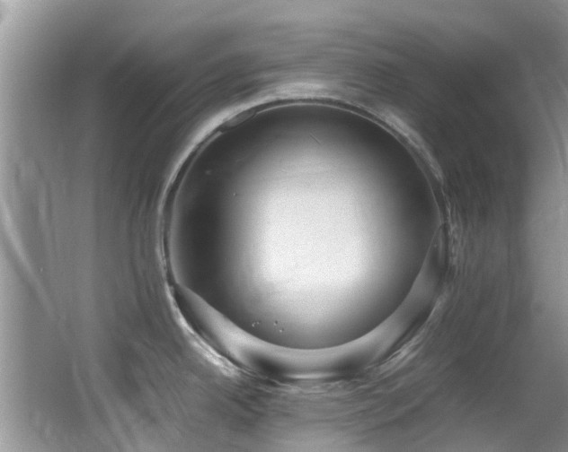 X0000066021342200603031239